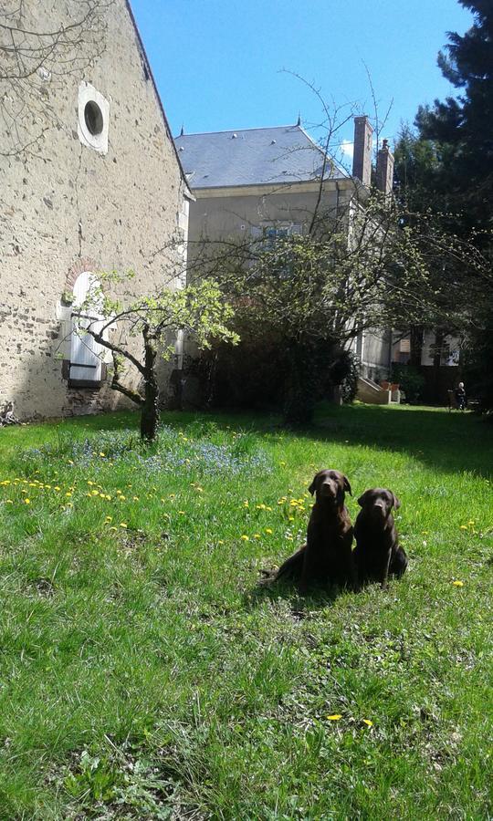 La Sauldre Bed & Breakfast Vailly-sur-Sauldre Bagian luar foto