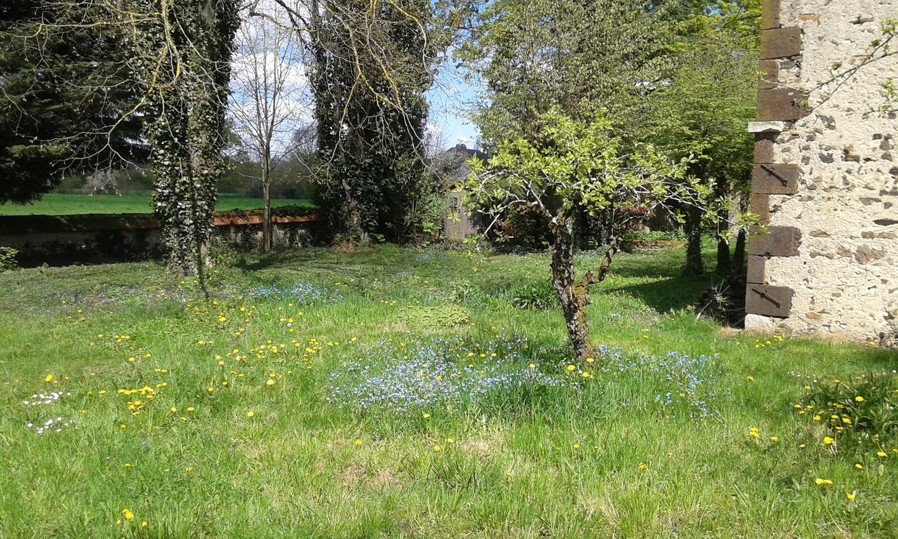 La Sauldre Bed & Breakfast Vailly-sur-Sauldre Bagian luar foto